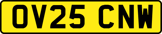 OV25CNW