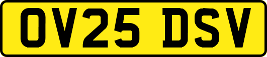 OV25DSV
