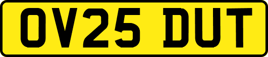 OV25DUT