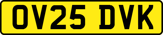 OV25DVK