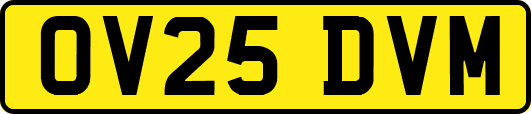 OV25DVM