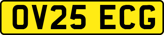 OV25ECG