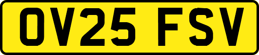OV25FSV