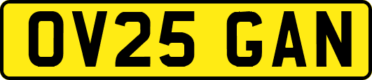 OV25GAN