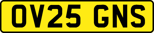 OV25GNS