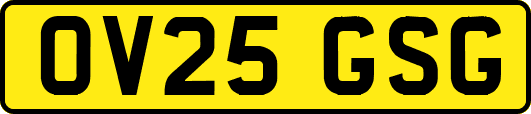 OV25GSG