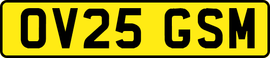 OV25GSM