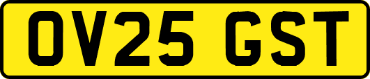 OV25GST