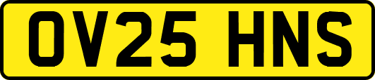 OV25HNS