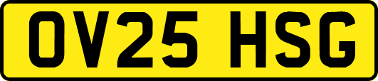 OV25HSG