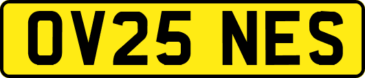 OV25NES