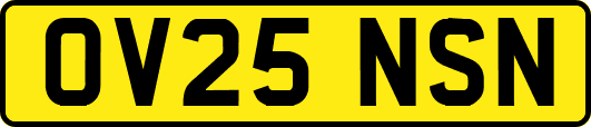 OV25NSN
