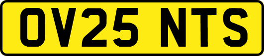 OV25NTS