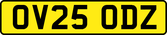 OV25ODZ