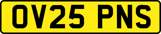 OV25PNS