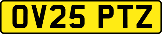 OV25PTZ