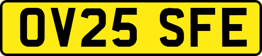 OV25SFE
