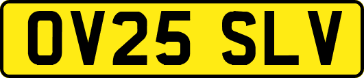OV25SLV