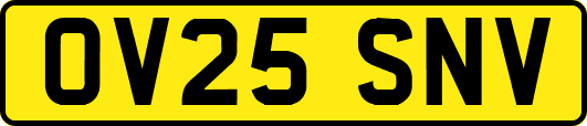 OV25SNV