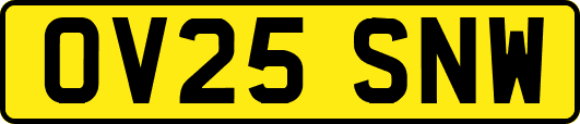 OV25SNW
