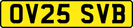 OV25SVB