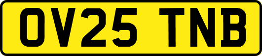 OV25TNB