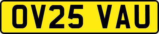 OV25VAU