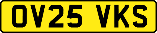 OV25VKS