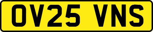 OV25VNS