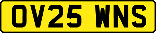 OV25WNS