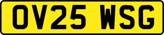 OV25WSG