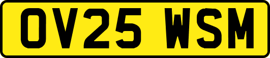 OV25WSM