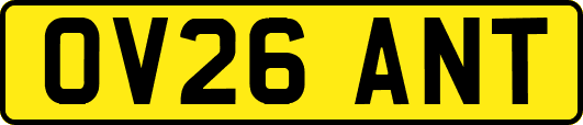 OV26ANT