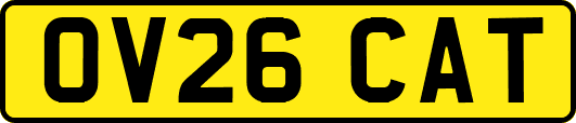 OV26CAT