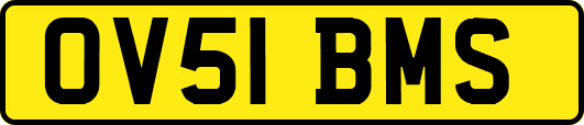 OV51BMS