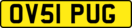 OV51PUG