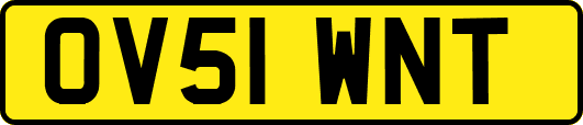 OV51WNT