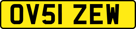 OV51ZEW