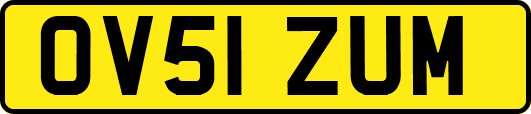 OV51ZUM