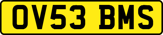 OV53BMS