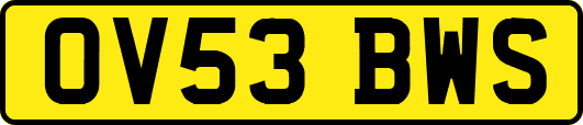 OV53BWS
