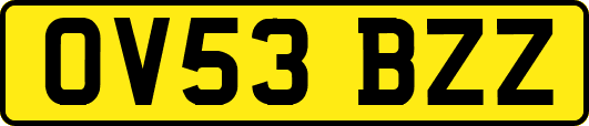 OV53BZZ