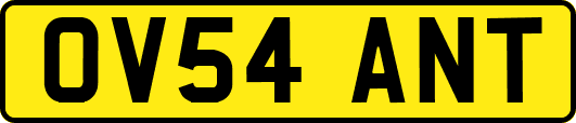 OV54ANT
