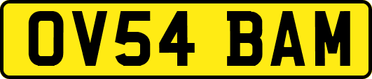 OV54BAM