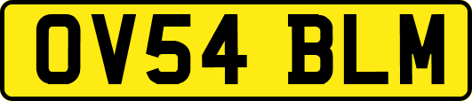 OV54BLM