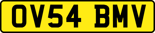 OV54BMV