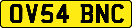 OV54BNC