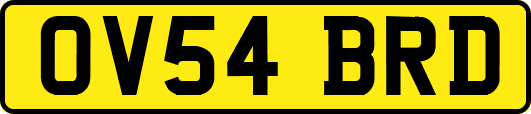 OV54BRD
