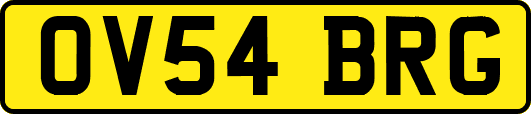 OV54BRG
