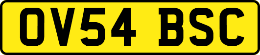 OV54BSC